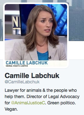 Image of Camille Labchuk and short bio